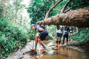 BIB: 
                            <button type="button" onclick="openModal(25375814)" class="btn btn-primary btn-sm float-right btn-popup" data-toggle="modal" data-target=".modal-high-quality">
                        <i class="fas fa-shopping-cart"></i> Add to Cart
                    </button>
                                            <button type="button" onclick="isThisMe(25375814, true)" class="btn btn-success btn-sm float-right btn-popup btn-isme hidden" data-toggle="tooltip" data-placement="bottom" title="นี่คือรูปของคุณใช่ไหม คลิกที่นี่เพื่อเอาเข้าอัลบั้ม">
                        <i class="fas fa-plus"></i> Add to album
                    </button>
                    <button type="button" onclick="isThisMe(25375814, false)" class="btn btn-warning btn-sm float-right btn-popup btn-isnotme hidden">
                        <i class="fas fa-ban"></i> Remove from album
                    </button>